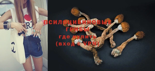 индика Абдулино