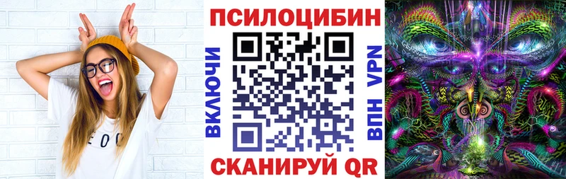 дарнет шоп  Карпинск  Галлюциногенные грибы Cubensis 