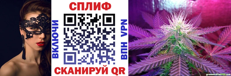 дарнет шоп  Карпинск  Бошки Шишки план 
